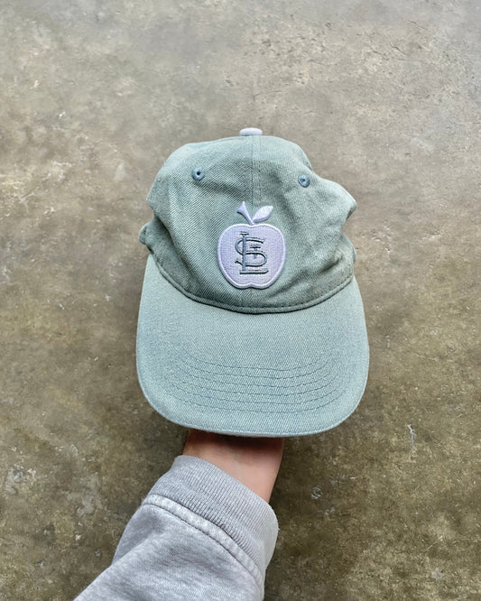 Official St. Louis Cardinals Baseball Team Hat